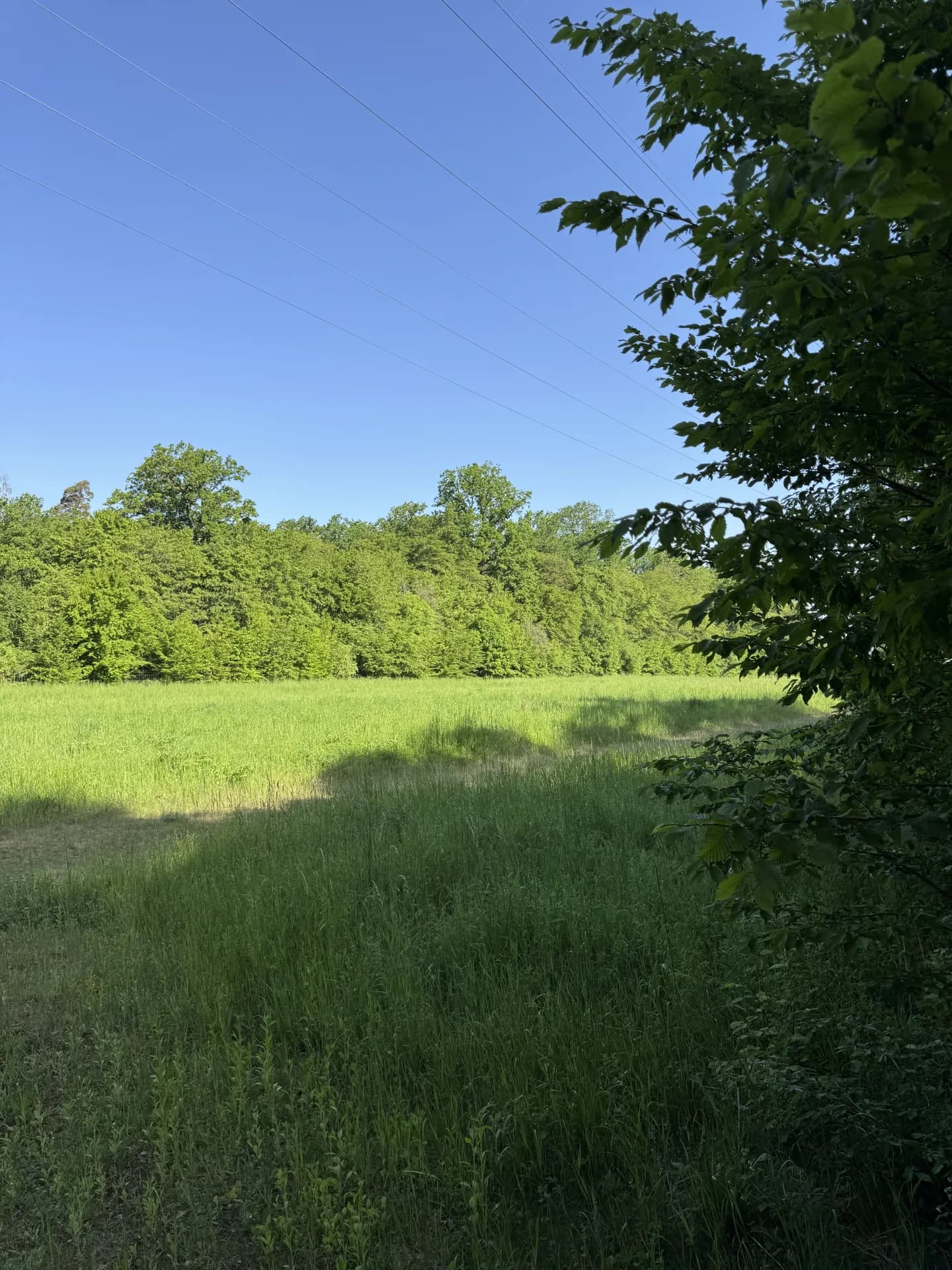 Begehungsschein bei Biberach an der Riß (Baden-Württemberg)