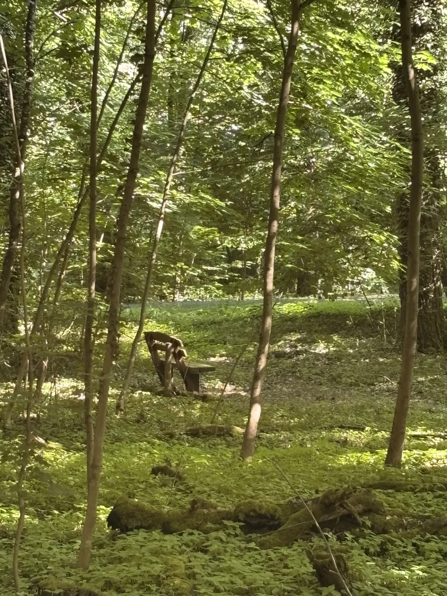 Jagdpacht bei Bautzen (Sachsen), 290 ha