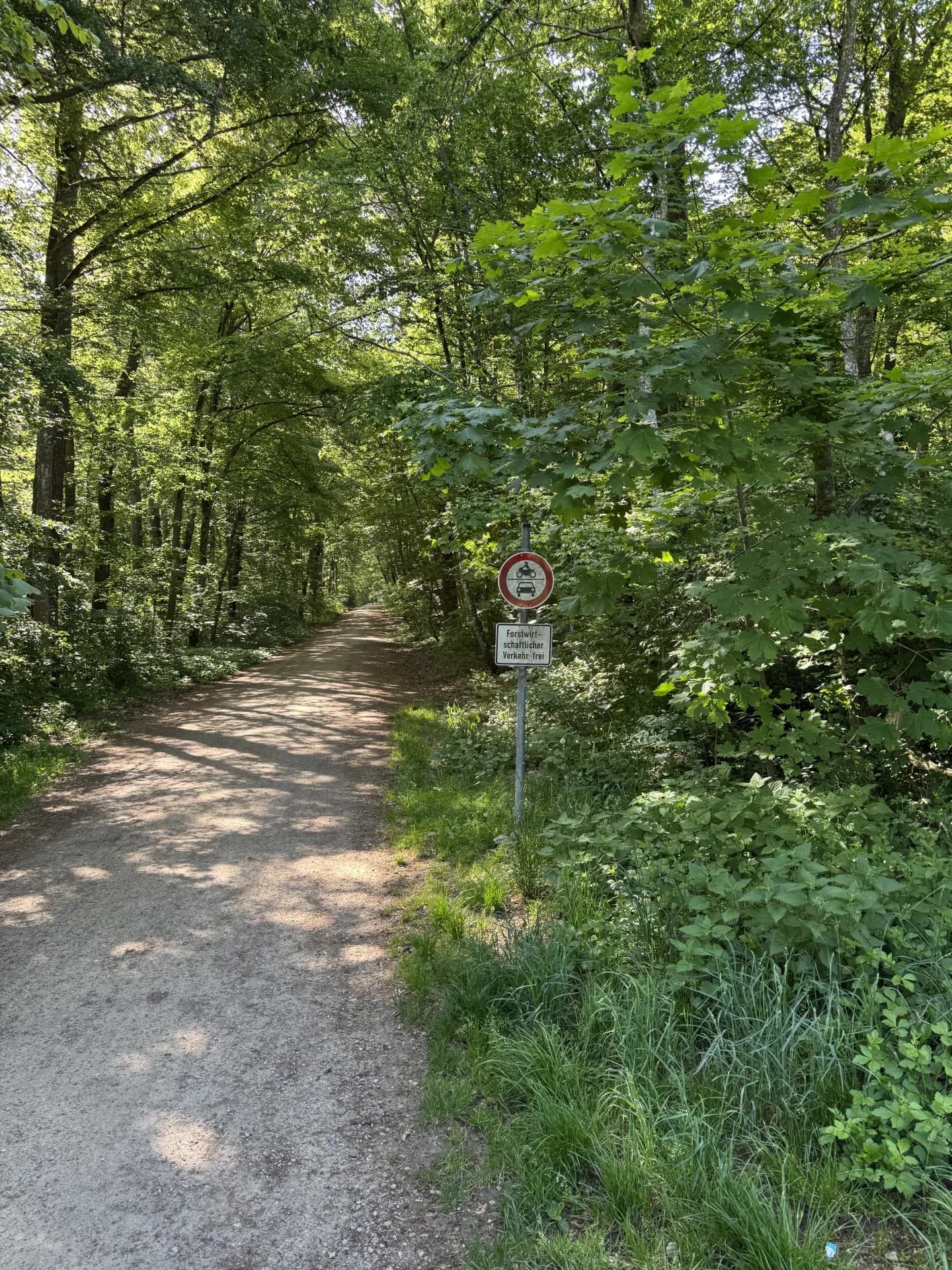 Jagdpacht bei Stendal (Sachsen-Anhalt), 270 ha