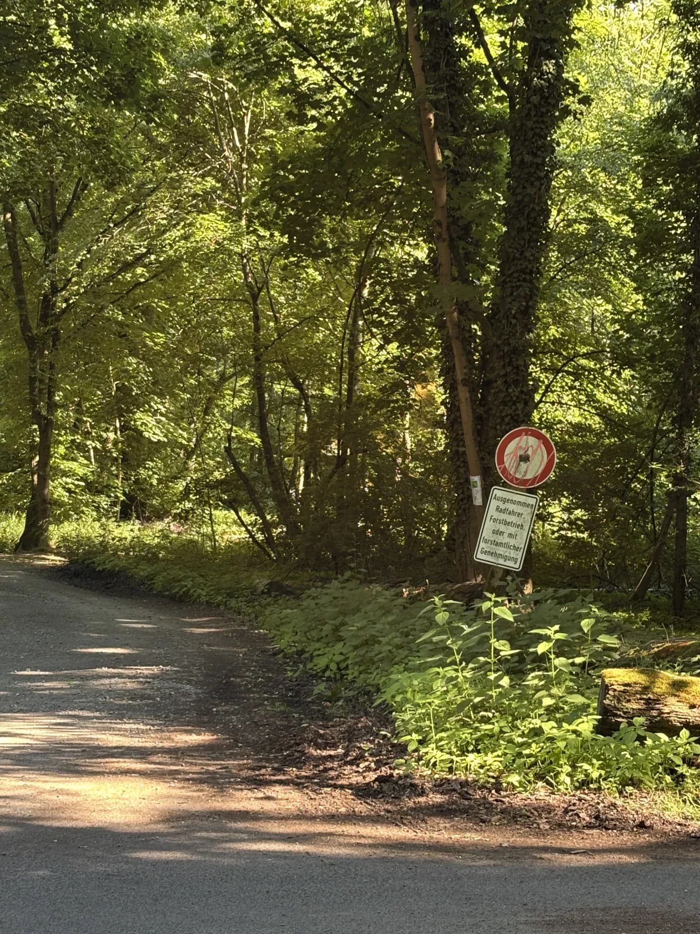 Begehungsschein bei Arnsberg (Nordrhein-Westfalen), 180 ha