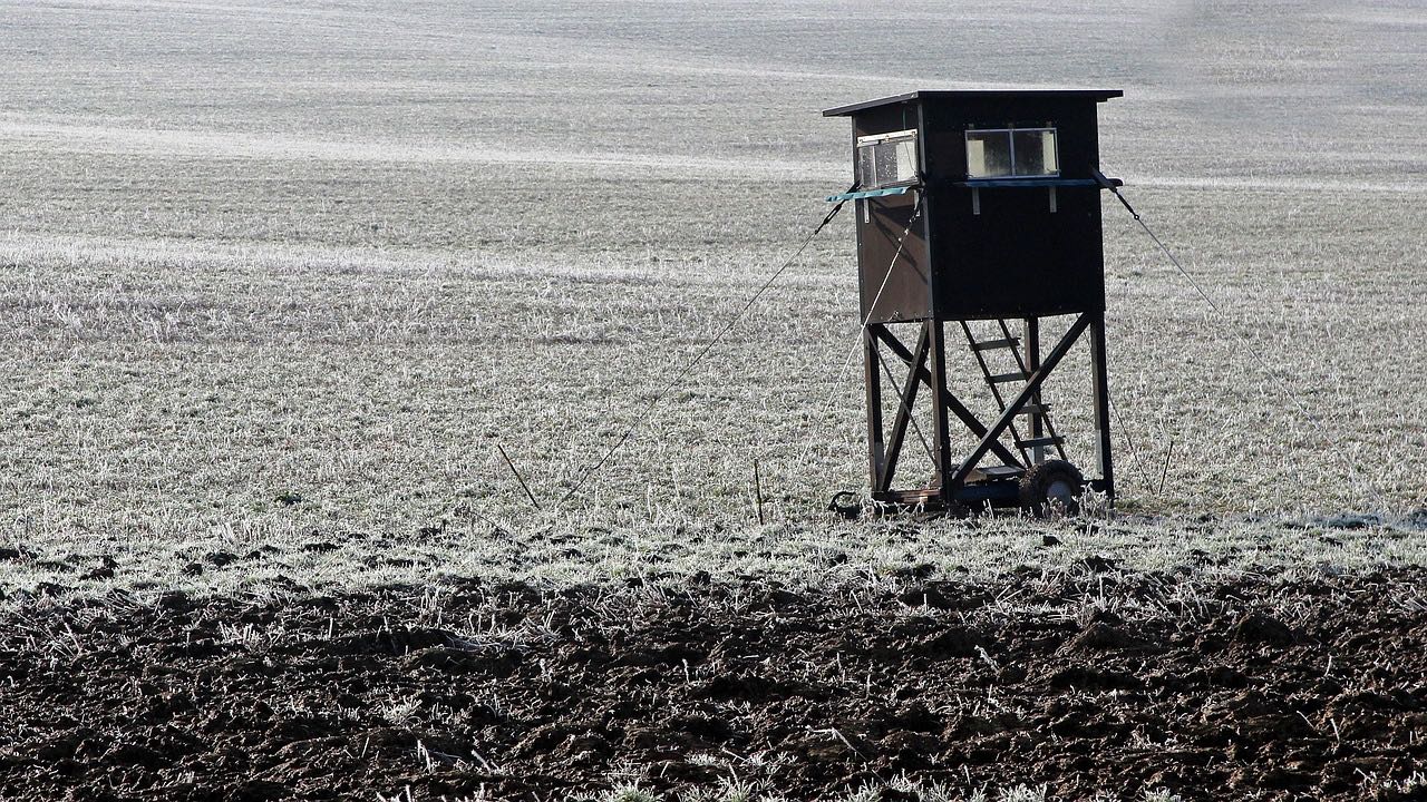 Hochsitz auf einem gefrorenen Acker im Gegenlicht