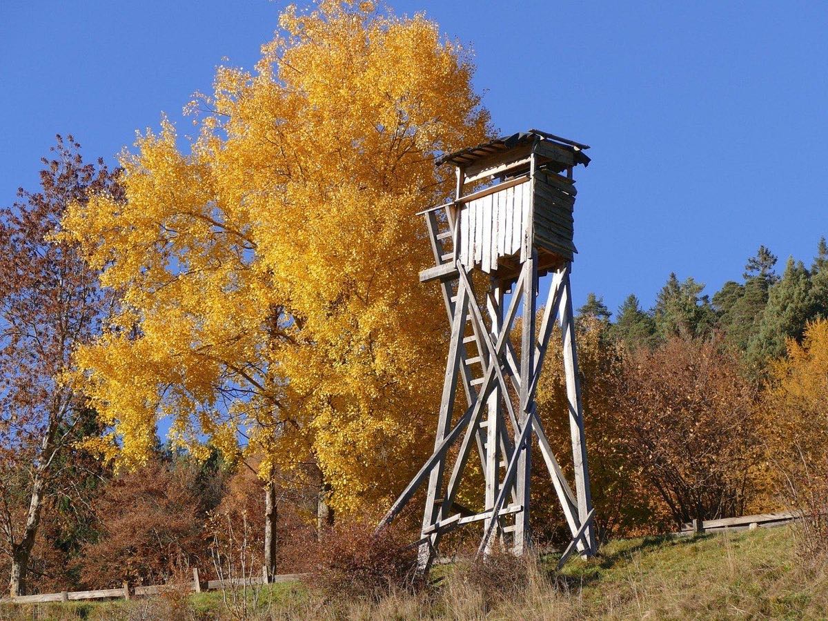 Hochsitz am Waldrand im Herbst