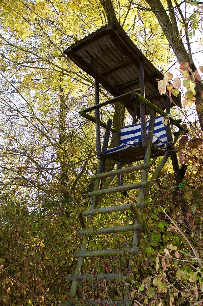Selbstgebaute Ansitzleiter aus Rundholz, von unten fotografiert